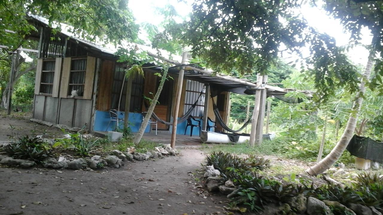 Ecohotel Arte Y Aventura Isla Grande  Extérieur photo