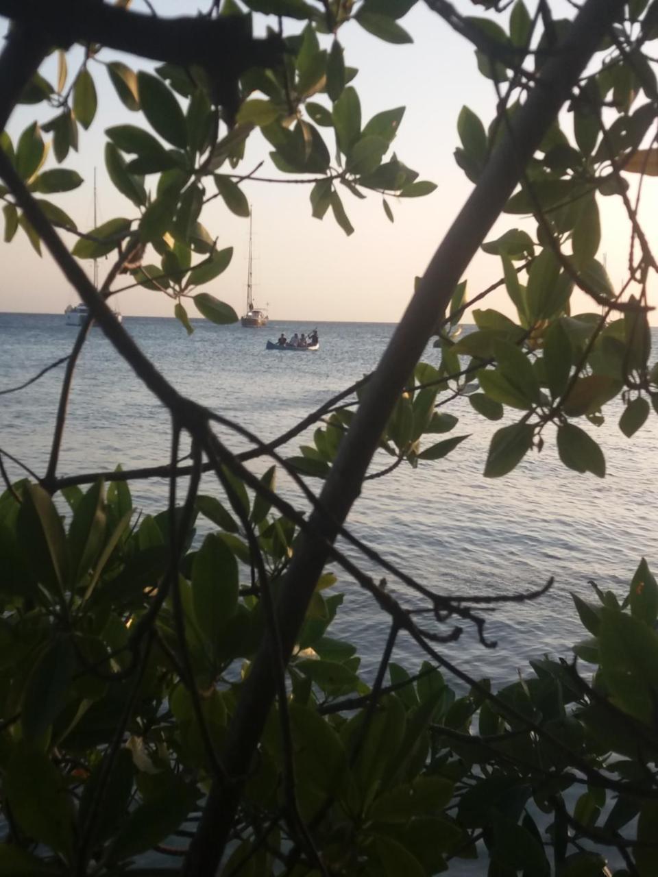 Ecohotel Arte Y Aventura Isla Grande  Extérieur photo